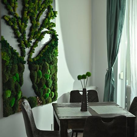 Mirvana Apartments Metheor Executive Suite Timișoara Zewnętrze zdjęcie