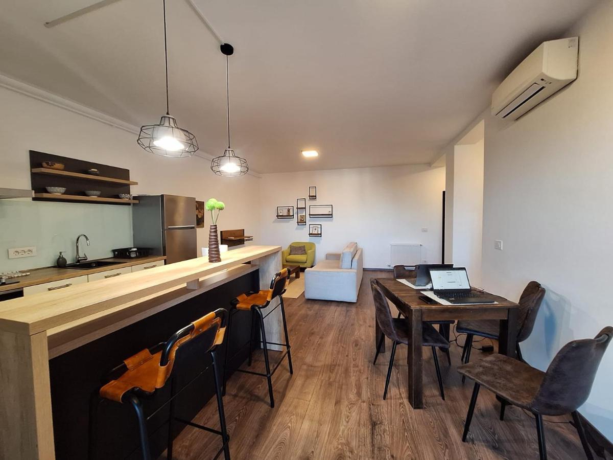 Mirvana Apartments Metheor Executive Suite Timișoara Zewnętrze zdjęcie