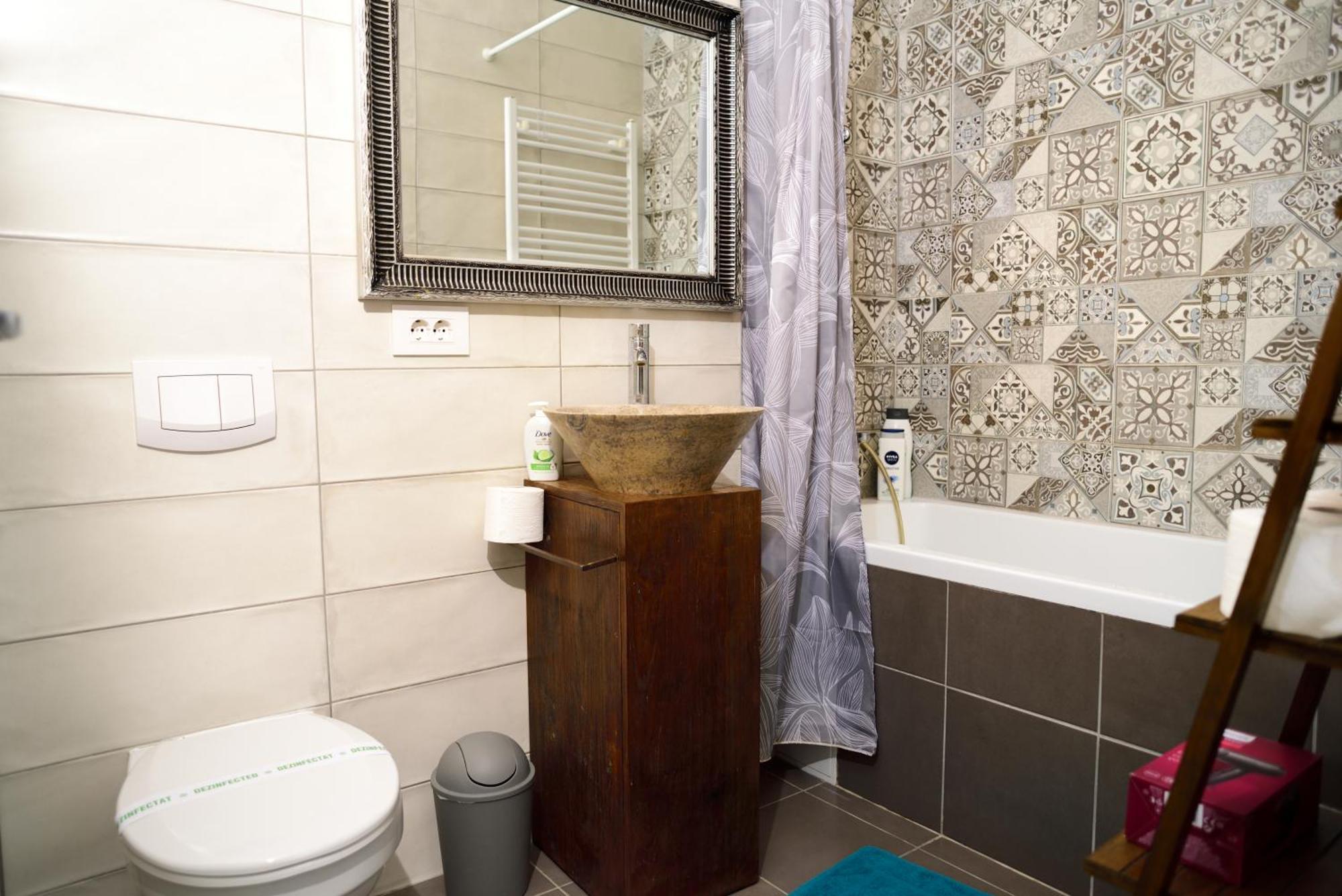 Mirvana Apartments Metheor Executive Suite Timișoara Zewnętrze zdjęcie