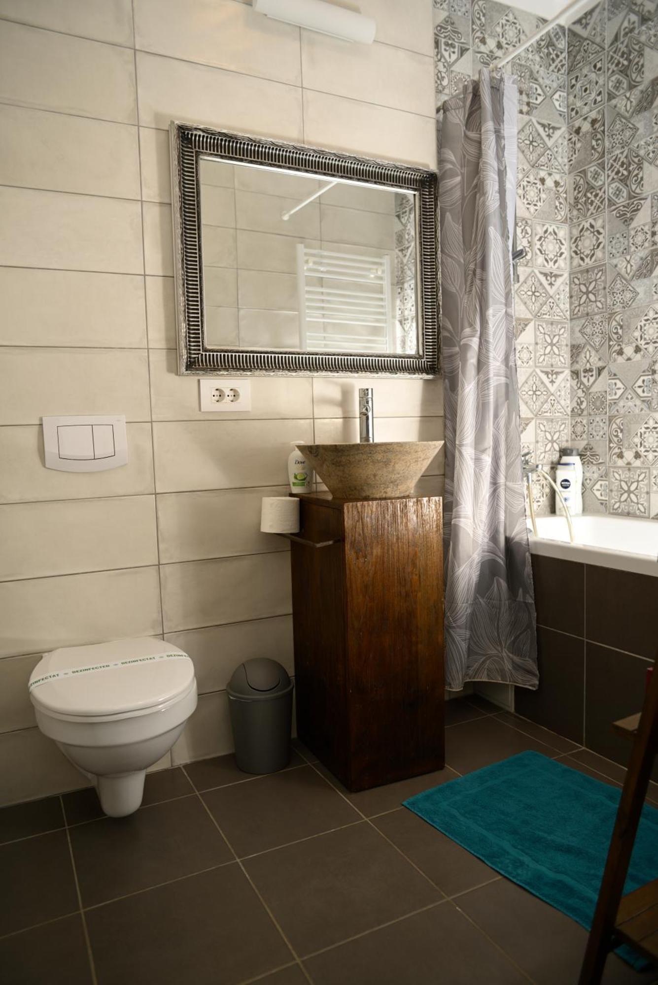 Mirvana Apartments Metheor Executive Suite Timișoara Zewnętrze zdjęcie